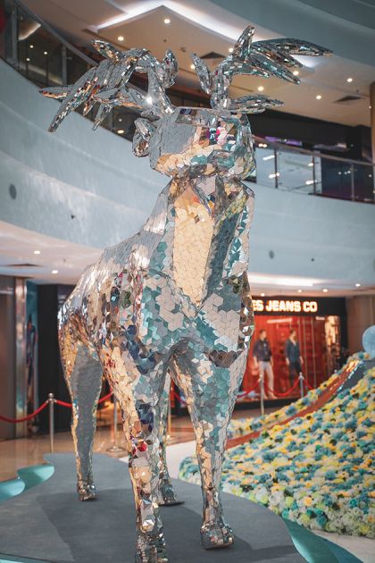 Mall Installation