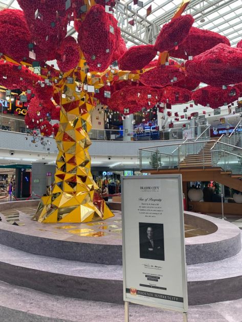 Shopping Mall Installation