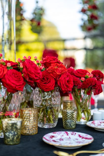 Red Party Wedding Event