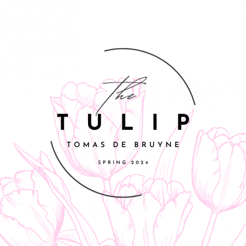 TULIP 'Tomas De Bruyne'