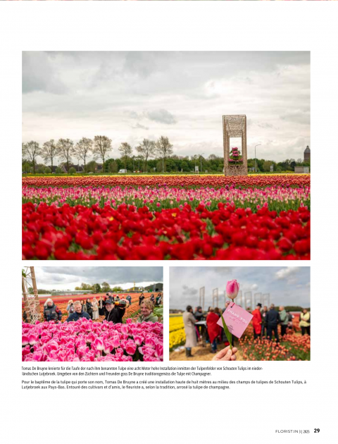 Florist:in Magazine