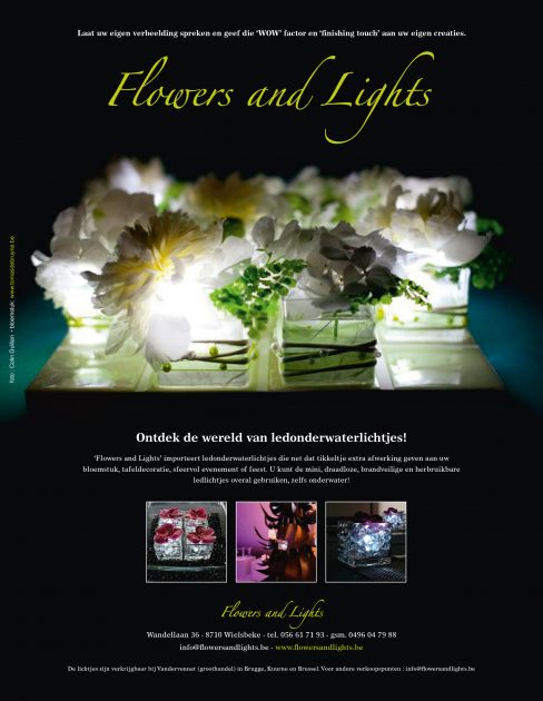 Flowers and Lights Tomas De Bruyne