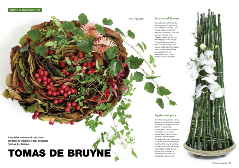 The Flower Arranger - Tomas De Bruyne